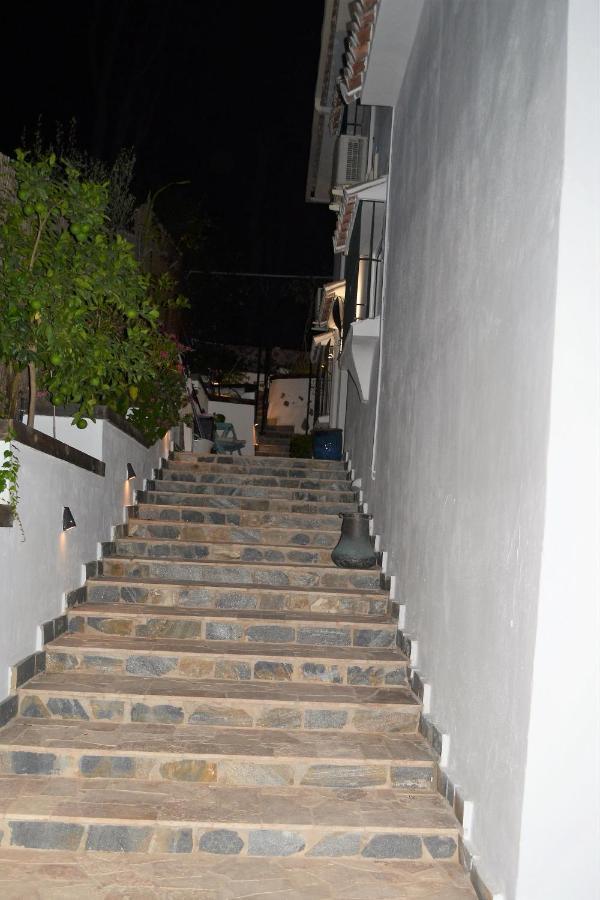 Estudio Montaña Apartamento