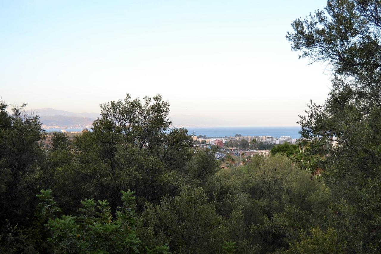 Apartamento Estudio Montaña